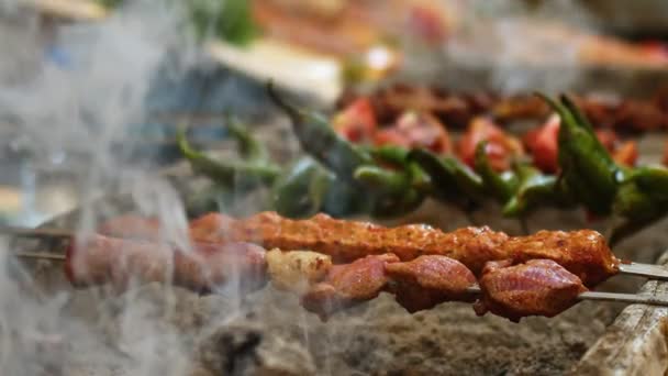 土耳其传统的Shish Kebab肉食在烤火上的应用 — 图库视频影像