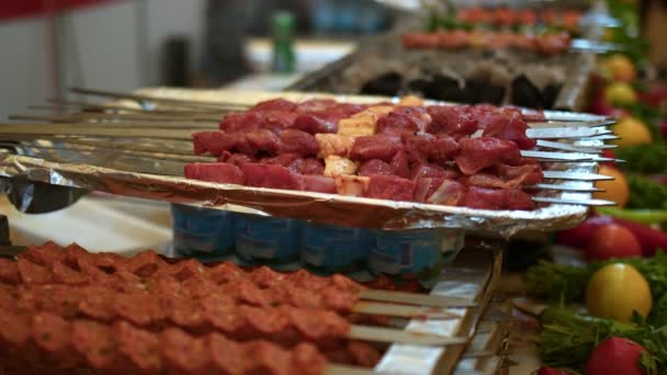 Τουρκικό Παραδοσιακό Κρέας Shish Kebab Φωτιά Κάρβουνου Μπάρμπεκιου — Αρχείο Βίντεο