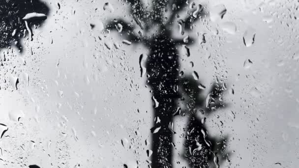 Дощ Автосклі — стокове відео