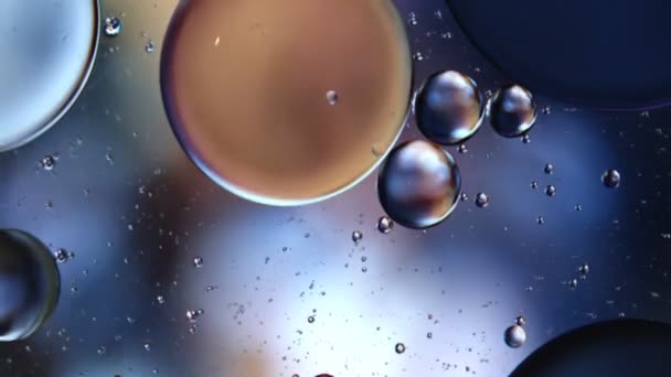 Streszczenie Kolorowe Krople Oleju Spożywczego Bubbles Spheres Flowing Water Surface — Wideo stockowe