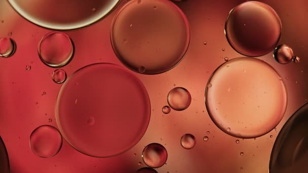 Реферат Красочные Капли Пищевого Масла Пузыри Сферы Текущие Поверхности Воды — стоковое видео