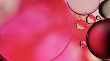 Soyut Renkli Gıda Yağı Damlaları Kabarcıklar ve küreler Su yüzeyinde, makro Videografi