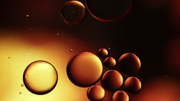 Abstracto Colorido Aceite Comida Gotas Burbujas Esferas Que Fluyen Superficie — Vídeo de stock