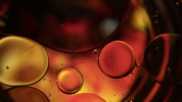 Abstract Colorful Food Oil Drops Bubbles Sphere Flowing Water Surface — 비디오