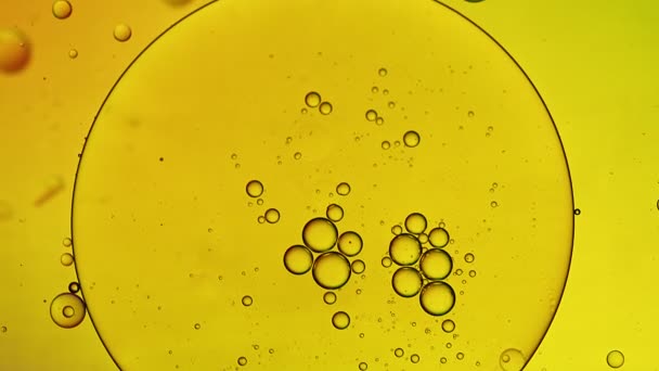 Abstract Kleurrijke Food Oil Druppels Bubbels Bollen Stromen Het Water — Stockvideo