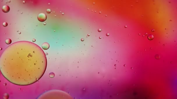 Abstrakt Färgglada Matolja Droppar Bubblor Och Sfärer Flyter Vattenytan Makro — Stockvideo