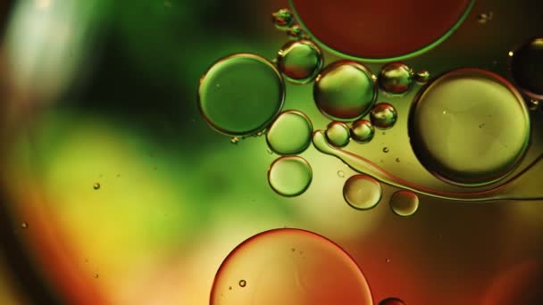 Abstract Colorful Food Oil Drops Bubbles Spheres Flowing Water Surface — Stock Video