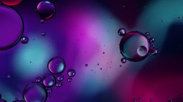 Abstract Colorful Food Oil Drops Bubbles Sphere Flowing Water Surface — 비디오