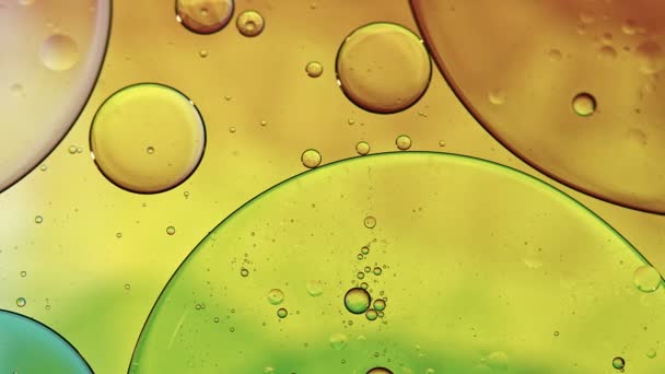 Abstract Colorful Food Oil Drops Bubbles Spheres Flowing Water Surface — Stock Video