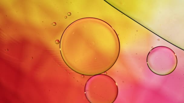 彩色食品油滴在水面上流动的气泡和球体宏观摄像 — 图库视频影像