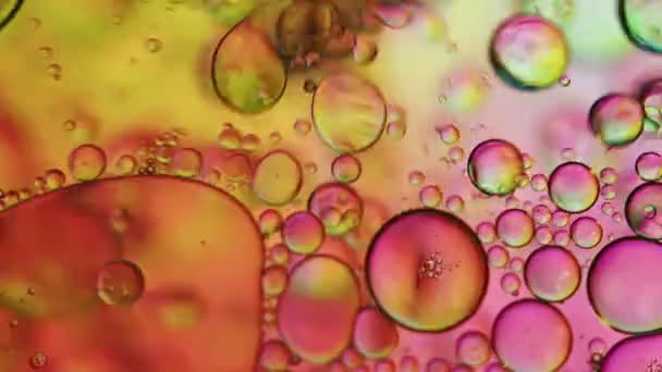 Streszczenie Kolorowe Krople Oleju Spożywczego Bubbles Spheres Flowing Water Surface — Wideo stockowe