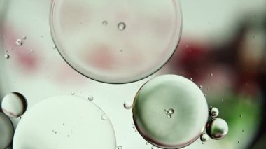 Soyut Renkli Gıda Yağı Damlaları Kabarcıklar ve küreler Su yüzeyinde, makro Videografi