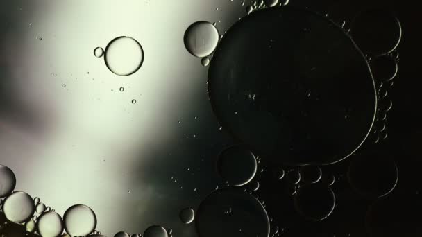 Streszczenie Kolorowe Krople Oleju Spożywczego Bubbles Spheres Flowing Water Surface — Wideo stockowe