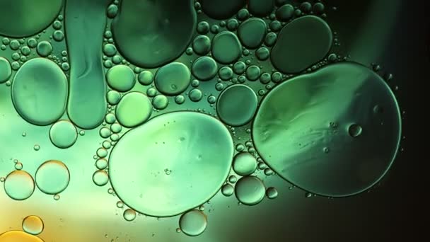 Abstract Colorful Food Oil Drops Bubbles Spheres Flowing Water Surface — Stock Video