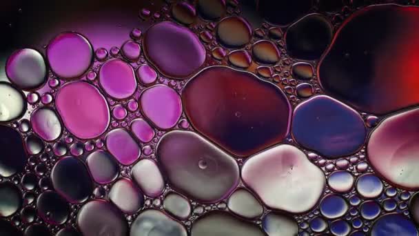 Streszczenie Kolorowe Krople Oleju Spożywczego Bubbles Spheres Flowing Water Surface — Wideo stockowe