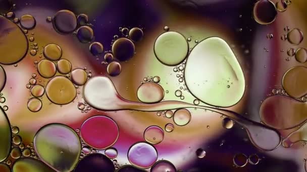Abstracto Colorido Aceite Comida Gotas Burbujas Esferas Que Fluyen Superficie — Vídeo de stock