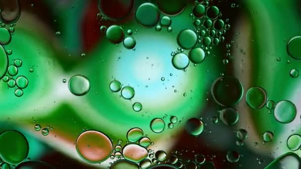 Реферат Красочные Капли Пищевого Масла Пузыри Сферы Текущие Поверхности Воды — стоковое видео