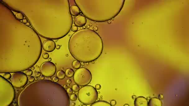 Abstract Colorful Food Oil Drops Bubbles Spheres Flowing Water Surface — Stock Video