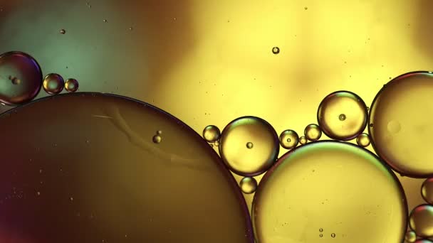 Abstract Colorful Food Oil Drops Bubbles Spheres Flowing Water Surface — Stock Video