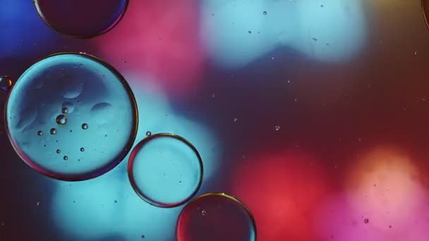 彩色食品油滴在水面上流动的气泡和球体宏观摄像 — 图库视频影像