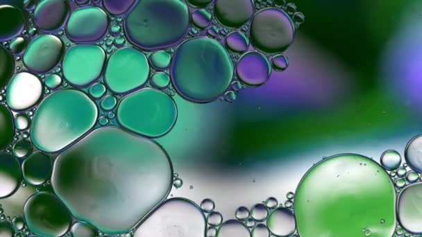 Astratto Colorato Gocce Olio Alimentare Bolle Sfere Che Scorrono Sulla — Video Stock