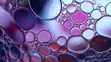 Soyut Renkli Gıda Yağı Damlaları Kabarcıklar ve küreler Su yüzeyinde, makro Videografi