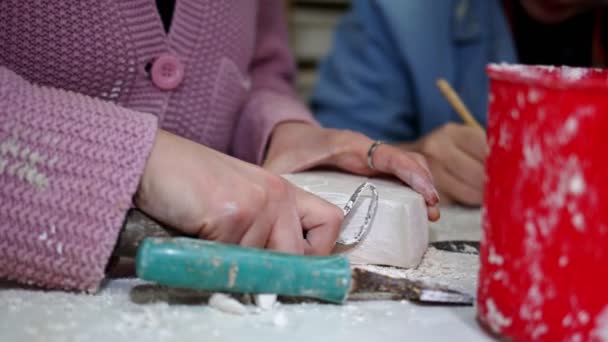 Travailler Dans Atelier Art Céramique — Video