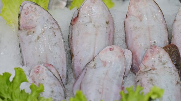 Balık Mağazasında Buzda Çiğ Gıda Balıkları — Stok video