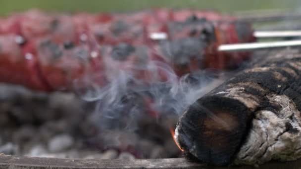 在烧烤柴火上烹调香肠食物 — 图库视频影像