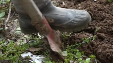 Toprağı Kürekle Kazmak Tarım Çiftliği Konsepti