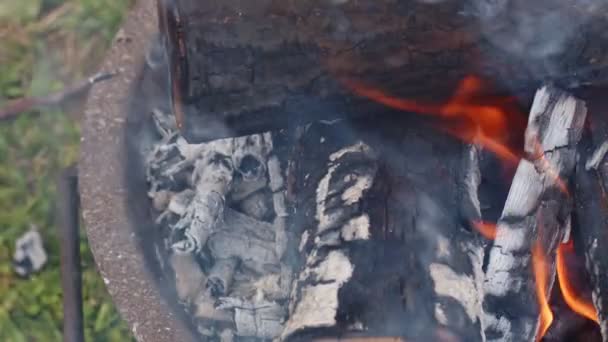 Roble Fuego Leña Ceniza Humo — Vídeo de stock