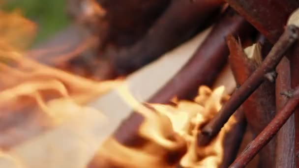 화산재와 속에서 나무를 태우는 — 비디오