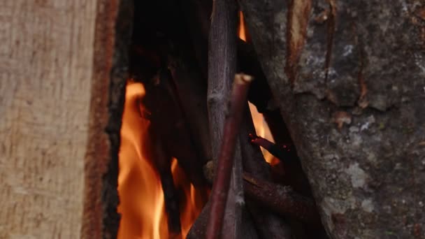 Πυρκαγιά Ξύλου Βελανιδιάς Στάχτη Και Καπνό — Αρχείο Βίντεο