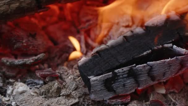화산재와 속에서 나무를 태우는 — 비디오