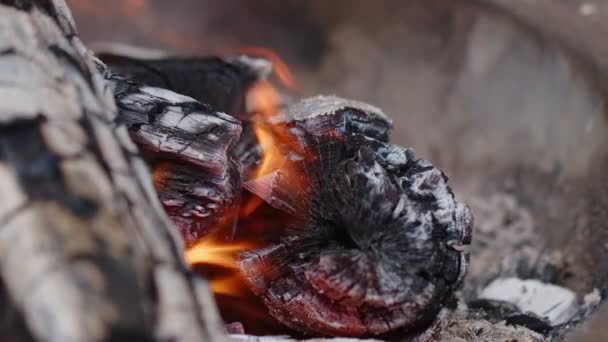 粉煤灰中的橡木火和烟 — 图库视频影像