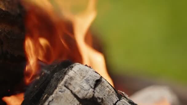 Odun Ateşi Kül Duman Içinde — Stok video