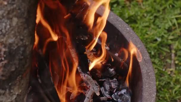 Roble Fuego Leña Ceniza Humo — Vídeos de Stock