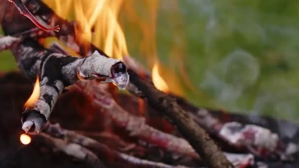 Roble Fuego Leña Ceniza Humo — Vídeo de stock