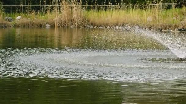 Agua Verde Del Lago Parque — Vídeo de stock