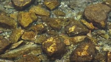 Saf Deniz Su ve Kayalar 