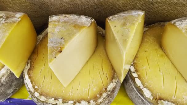 Vieux Fromage Cheddar Dans Une Rangée Dans Vitrine — Video