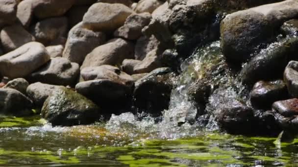 Бульбашки Зеленому Мохозькому Озері — стокове відео