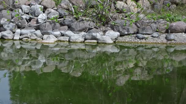 Зелене Озеро Камені — стокове відео