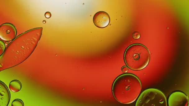 Abstract Colorful Food Oil Drops Bubbles — Stock Video