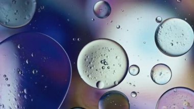 Soyut Renkli Gıda Yağı Damlaları Baloncukları 