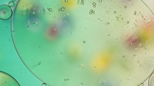 Abstract Colorful Food Oil Drops Bubbles — Stock Video