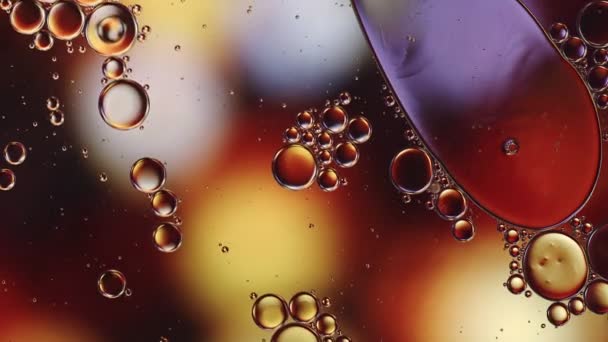 Abstract Kleurrijke Voedselolie Druppels Bubbels — Stockvideo