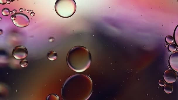 Abstract Colorful Food Oil Drops Bubbles — Vídeos de Stock