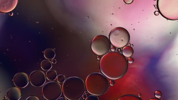 色彩艳丽的食用油泡 — 图库视频影像