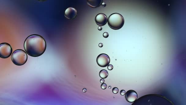 Abstract Colorful Food Oil Drops Bubbles — Vídeos de Stock